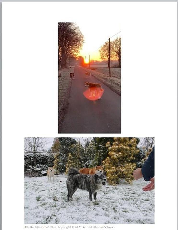 Neues Zuhause für eine große Familie – Bild 18