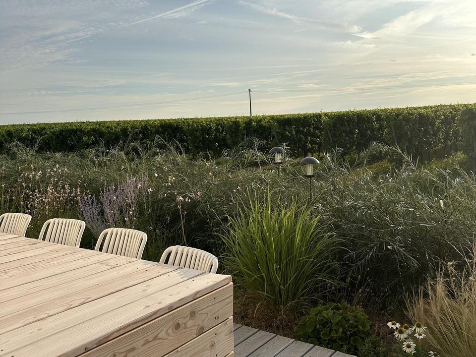 Besonderes Einfamilienhaus mit Blick auf die Weinreben – Bild 12