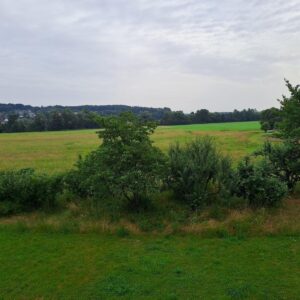 Komfortables Wohnen für Paare, junge Familien