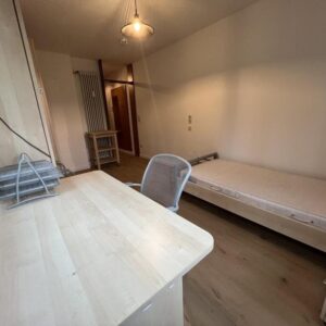 Charmantes 1-Zimmer-Apartment in ruhiger Grünoase – im Zentrum