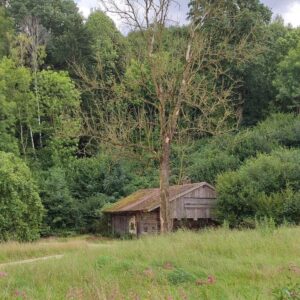 Grundstück mit Altbestand + Weiher/Wiese + großer Waldanteil – Birnkofen (Adlkofen)
