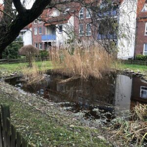 Schöne Maisonette-Wohnung im Grünen nahe Tesla