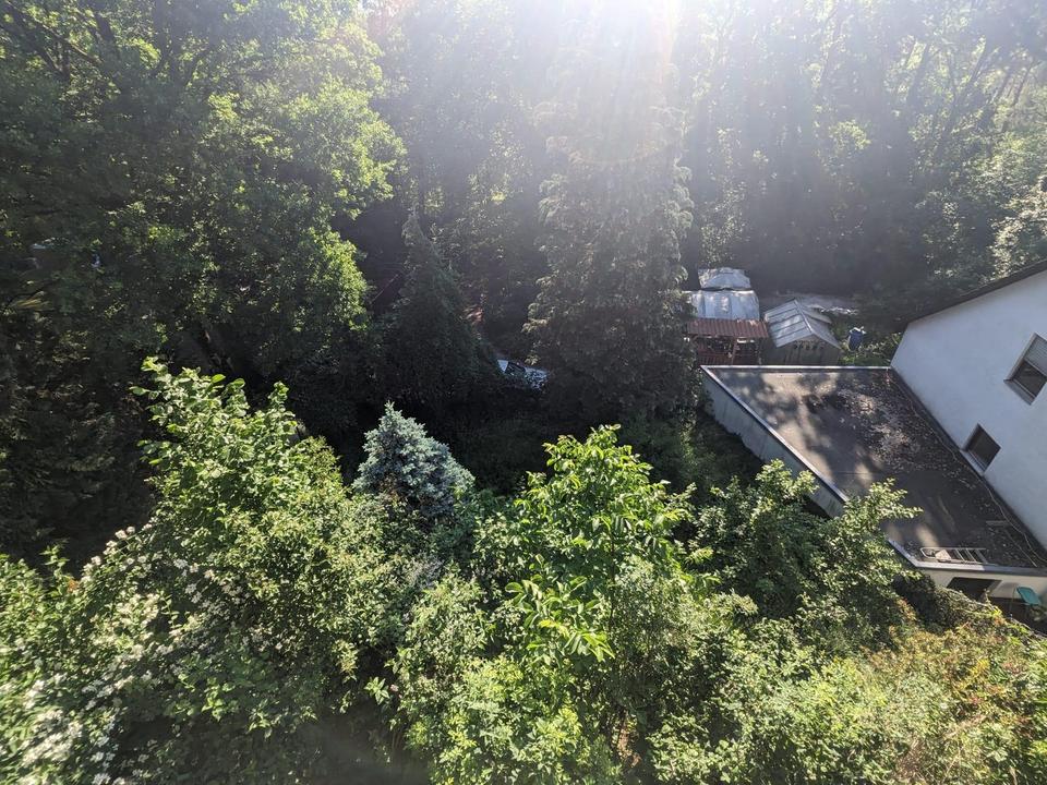 Blick in den Rednitzgrund - 120qm - 4 Zimmer - Garage, Stellplatz - SmartHome Heizung – Bild 22