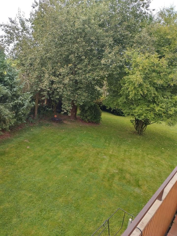 Bad Iburg, helle 3 Zimmerwohnung *PROVISIONSFREI* – Bild 15