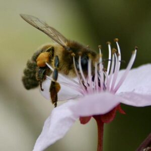 Terrassentraum! Wunderschöne, lichtdurchflutete Wohnung mit großzügiger Terrasse und Einzelgarage!