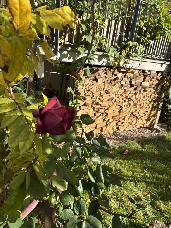 Architektenhaus in Konstanz Paradies – Bild 12