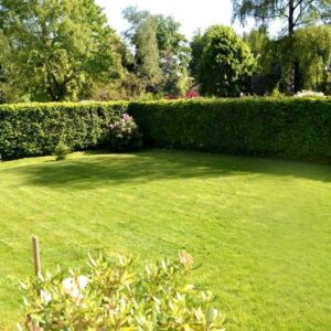 Wohnen im Grünen: Helle 2-Zimmer-Wohnung mit Gartennutzung