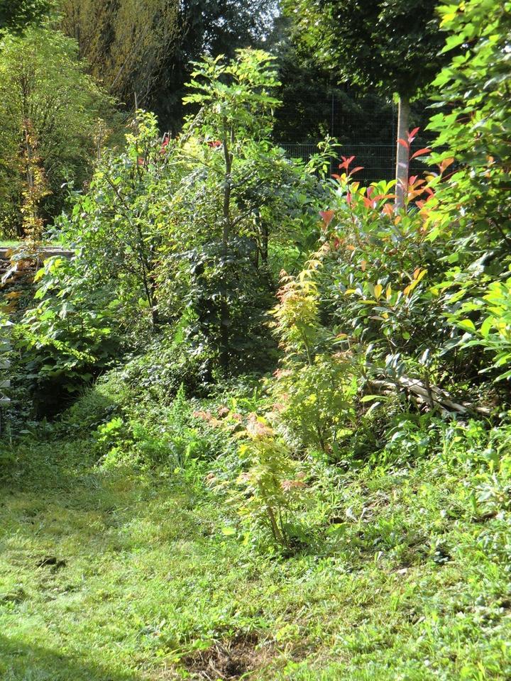 Sich auf Zuhause freuen - neue 2,5 Z-Whg EG mit Weitblick - gehobene Ausstattung – Bild 2