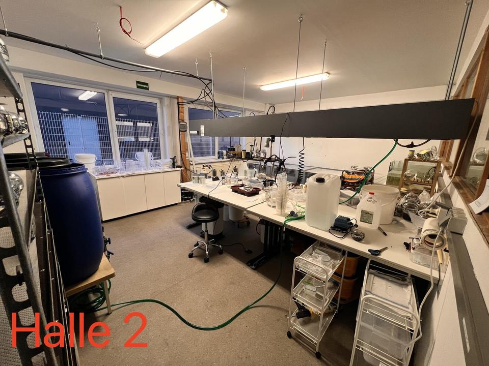 2 Gewerbehallen mit Büro- und Sozialflächen in verkehrsgünstiger Lage – Bild 6