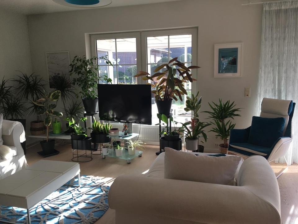 Sofort einziehen in Ihre Traumimmobilie – Bild 9