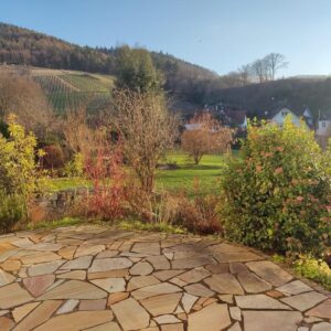 wunderschöne, sonnige 2-Zimmerwohnung mit tollem Ausblick ins Rheintal und auf Weinberge