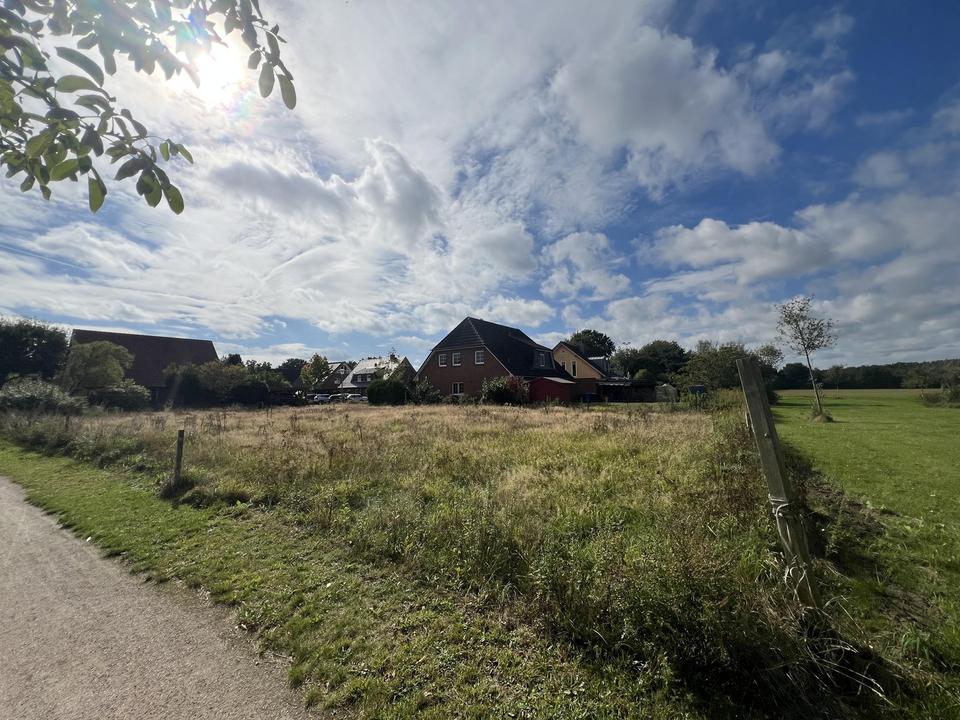 Baugrundstück in Reinbek-Ohe – ruhige Randlage mit Weitblick ins Grüne – Bild 4