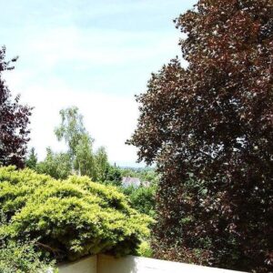 Repräsentative Terrassenwohnung in repräsentativer und gepflegter Liegenschaft - Barrierefrei !!