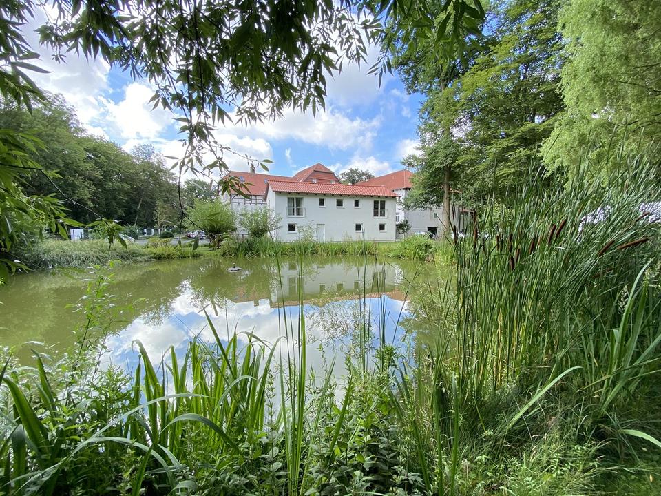 Helles 2-Zimmer Apartment mit einmaligem Ausblick in Braunschweig – Bild 2