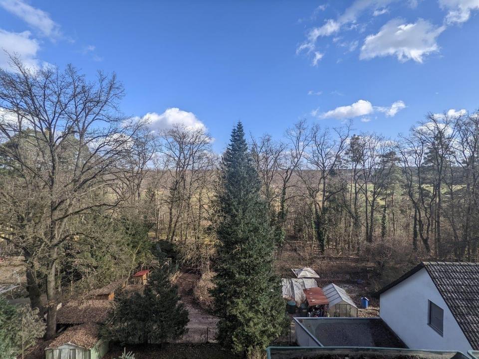 Blick in den Rednitzgrund - 120qm - 4 Zimmer - Garage, Stellplatz - SmartHome Heizung – Bild 17