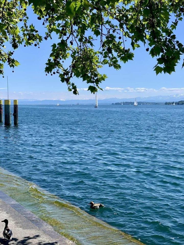 Kernsanierte Wohnung in bester Lage von Überlingen - Seenah, Barierefrei, Terrasse – Bild 10