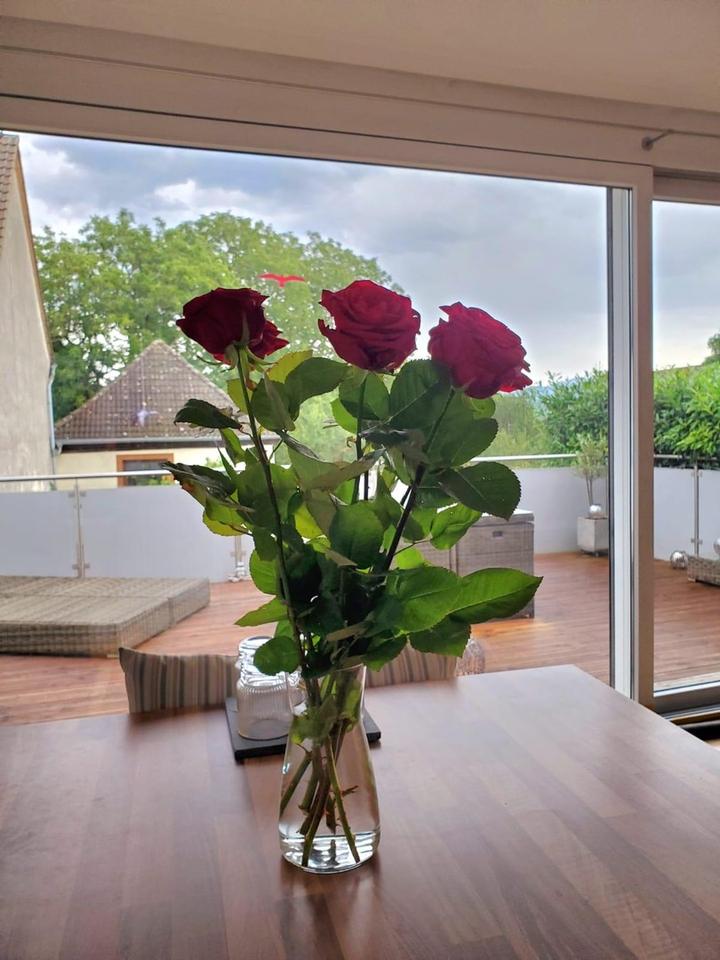 * Excl. Loft-Penthouse - EFH - Traumlage - große Terrassen - von privat - FR-Süd – Bild 8