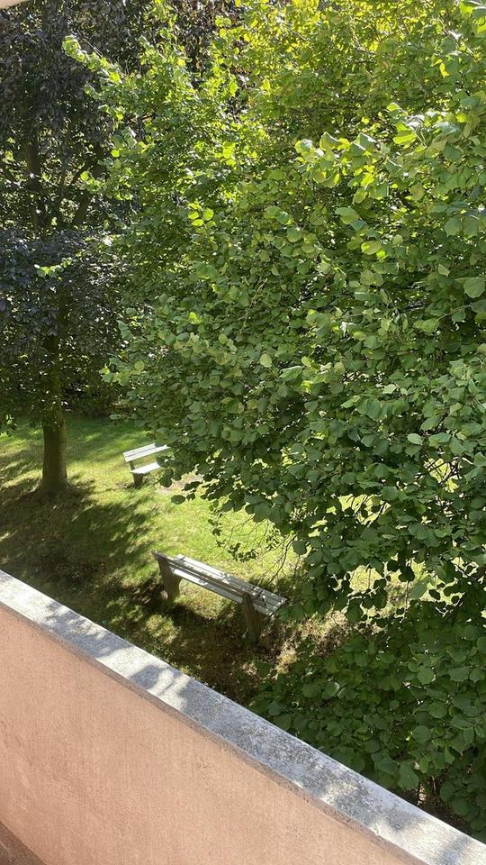 Ruhige moderne möbelisierte Wohnung nähe Stadtpark – Bild 6