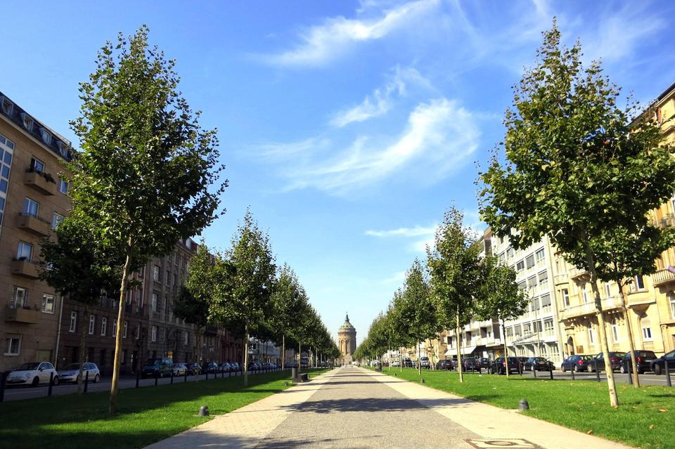 Sofort verfügbar: Sanierte, möblierte 1-Zimmer-Wohnung mit Balkon in Mannheimer Bestlage – Bild 22