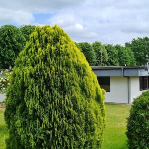 6 Zimmer Bungalow zu vermieten