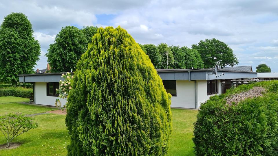 6 Zimmer Bungalow zu vermieten