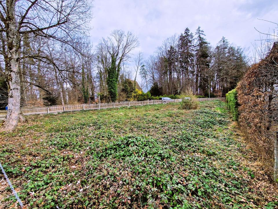 Grundstück am Starnberger See in Bernried