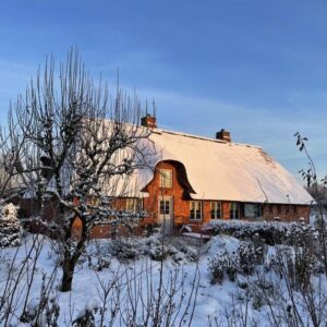 Reetdachaus von 1861 – kernsaniertes* Juwel mit Stil (Klasse A+), Erweiterung möglich