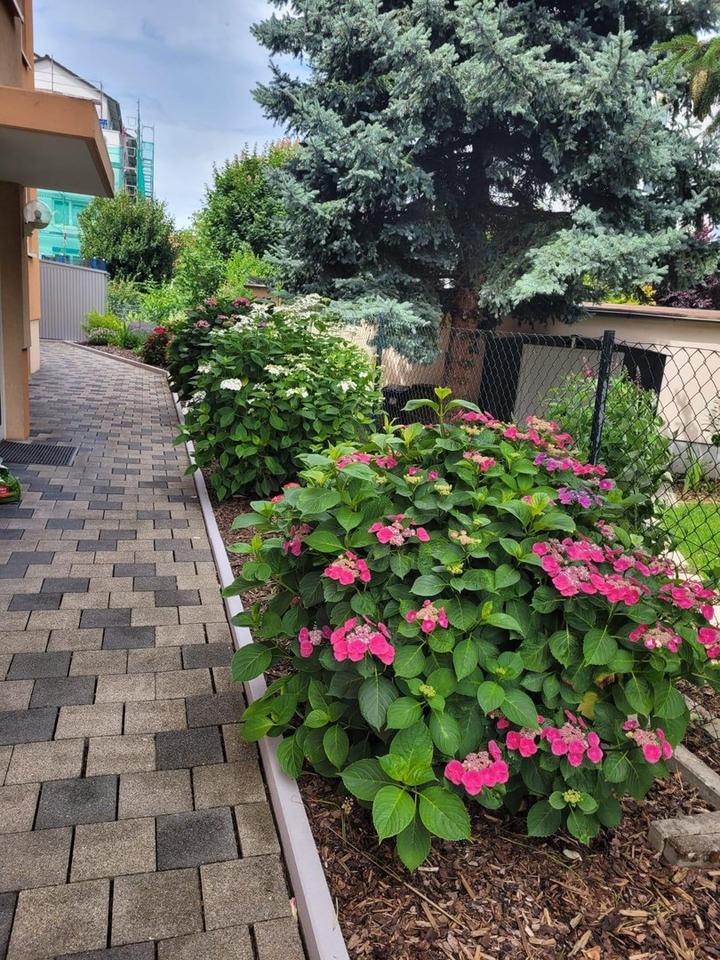 Geräumige Eigentumswohnung 10 min von Schwetzinger Schloss – Bild 14