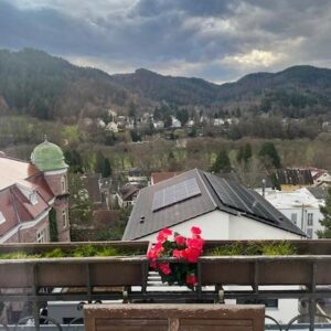 Dachgeschosswohnung in traumhafter Aussichtslage Baden-Baden