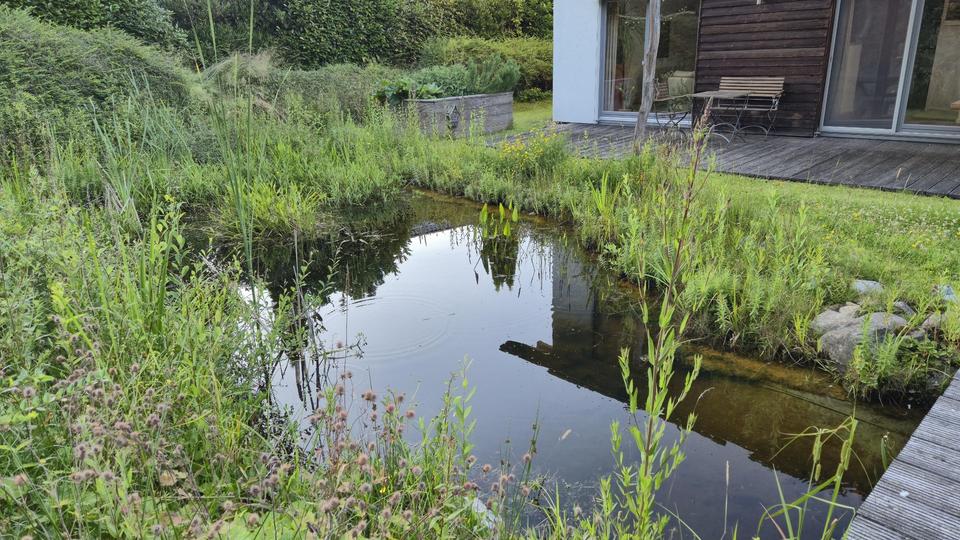 6-Zimmer-KfW-Energiespar-Architektenhaus - provisionsfreier Privatverkauf – Bild 5