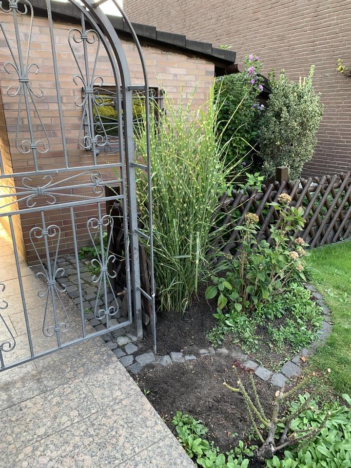 Ankommen. Wohlfühlen. Zuhause sein. – Reihenendhaus in Essen-Schonnebeck – Bild 25