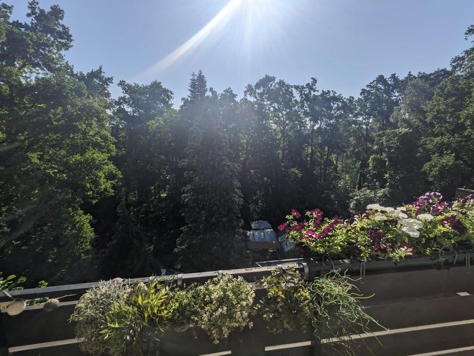 Blick in den Rednitzgrund - 120qm - 4 Zimmer - Garage, Stellplatz - SmartHome Heizung – Bild 21