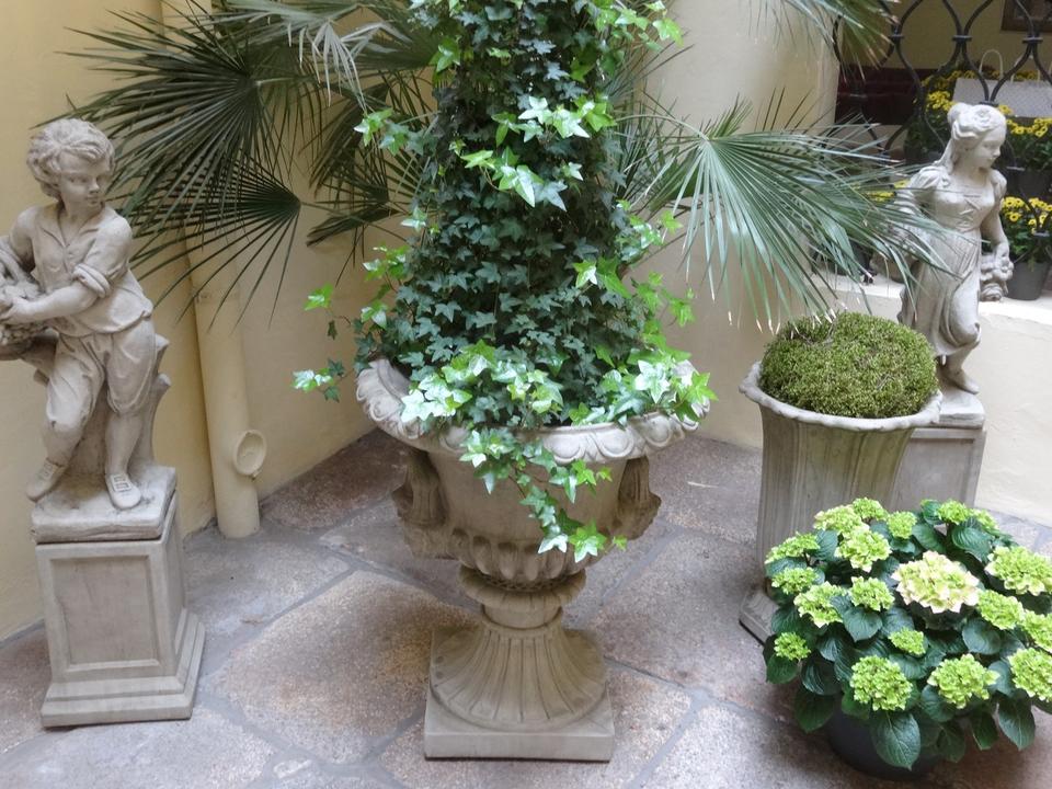 OSTERANGEBOT ! bis zu 2 MONATE MIETFREI / Maisonette mit Einbauküche in der Altstadt von Görlitz – Bild 10