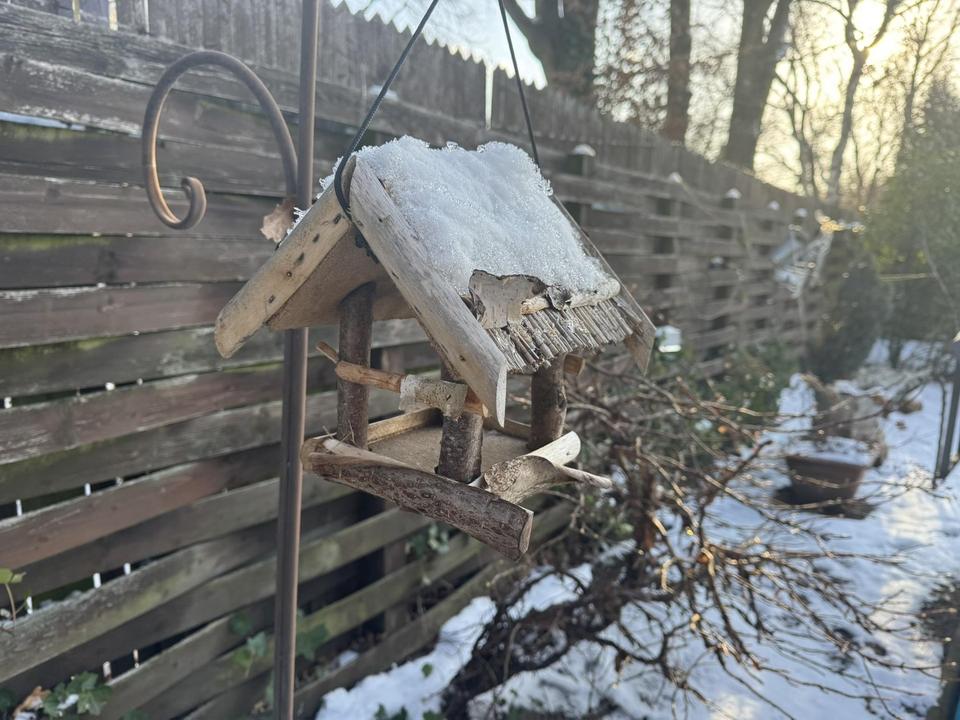 Lichtdurchflutetes Haus im Märchenviertel – großes Grundstück, Sauna & 2‑WE‑Option – Bild 5