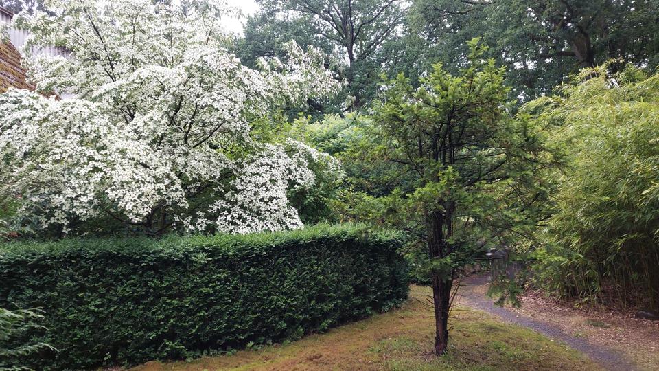 Anliegerwohnung mit Sonnenterasse – Bild 6