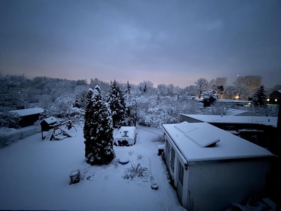 PROVISIONSFREIES JUWEL - Sanierte Altbauvilla mit großem Garten – Bild 3