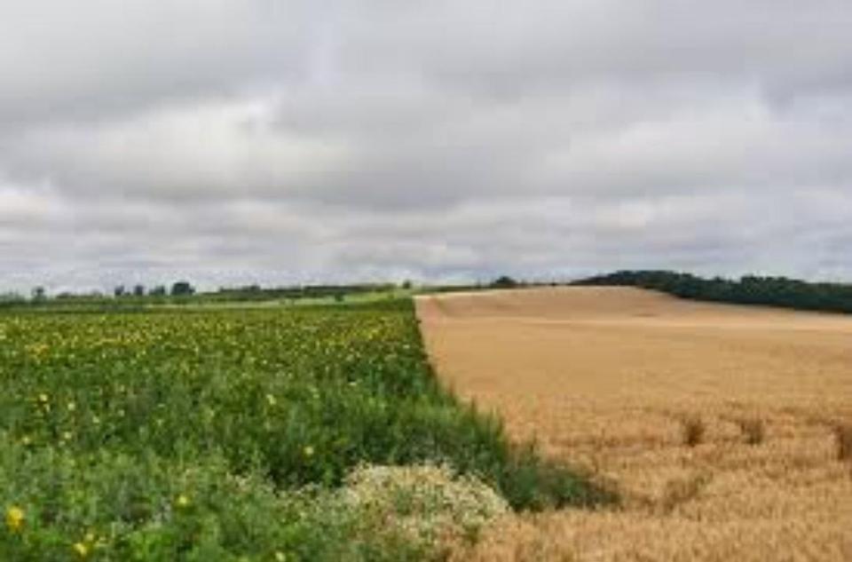 Ackerland • Photovoltaik • Verkauf • Pacht – Komplettangebot in attraktiver Lage – Bild 7