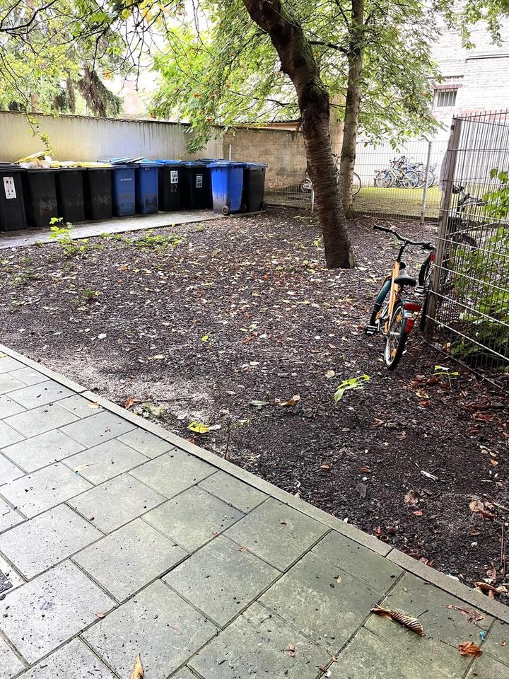 Helle 3-Zimmer-Whg. FREI – Bild 9