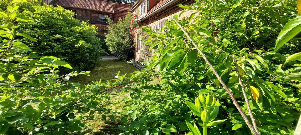 Anliegerwohnung mit Sonnenterasse – Bild 3