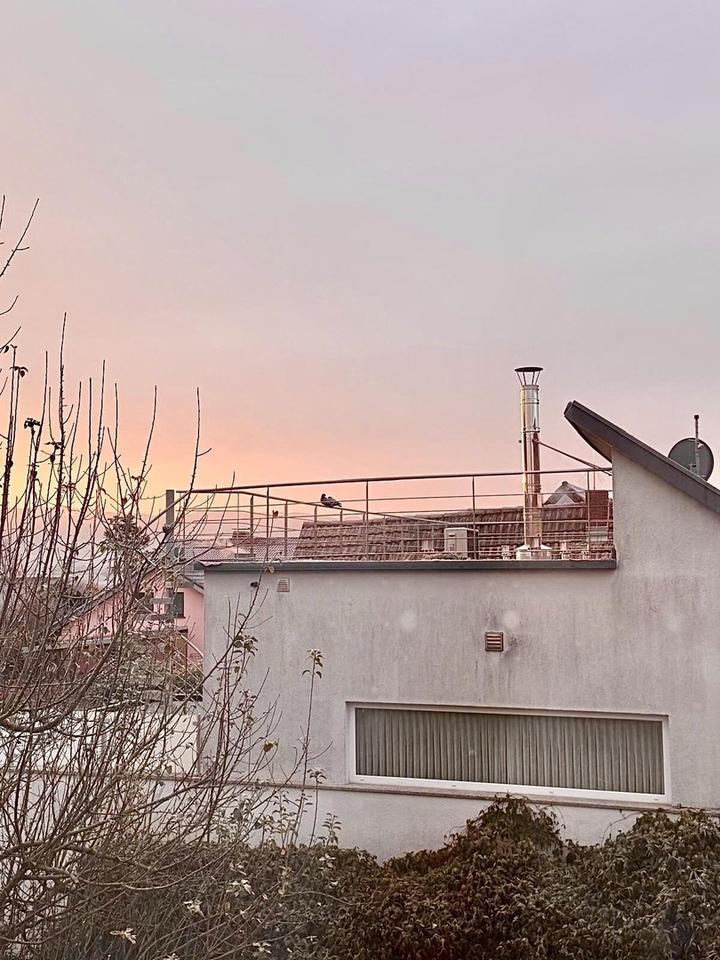 * Excl. Loft-Penthouse - EFH - Traumlage - große Terrassen - von privat - FR-Süd