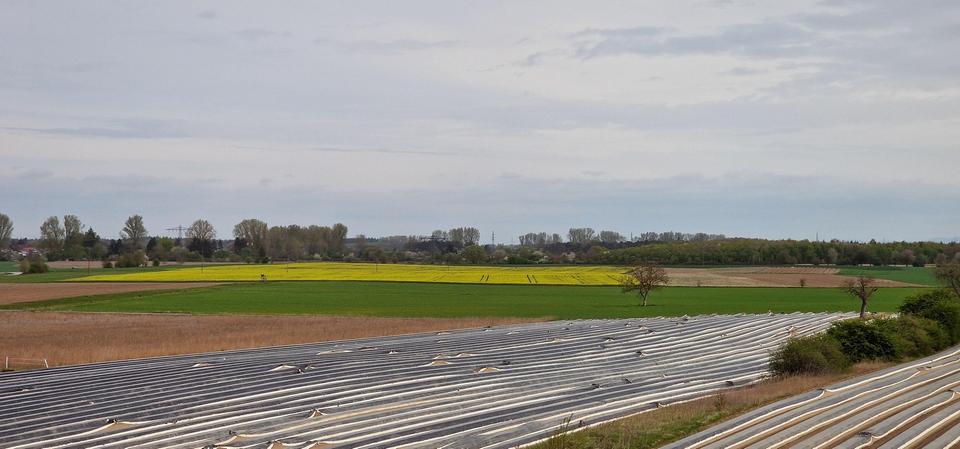 Terrassen Wohnung - OASE ZUR EIGENNUTZUNG ODER ALS ANLAGE – Bild 29