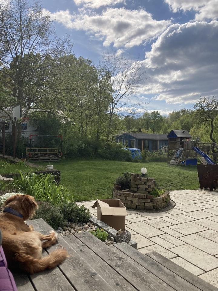 PROVISIONSFREIES JUWEL - Sanierte Altbauvilla mit großem Garten – Bild 18