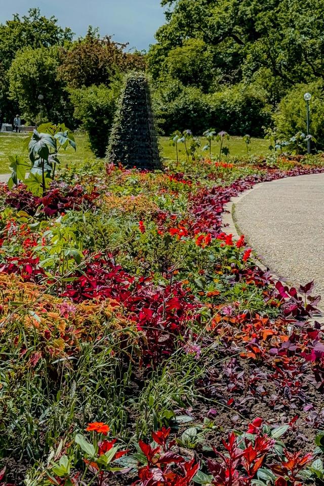 NEU renovierte Wohnung Kurzone 1 mit Balkon und TG Stellplatz – Bild 21