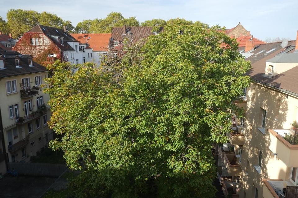 Sehr schöne, helle, gepflegte 2 Zi-Whg. mit EBK und Balkon zum 01.03.2026 zu vermieten – Bild 11