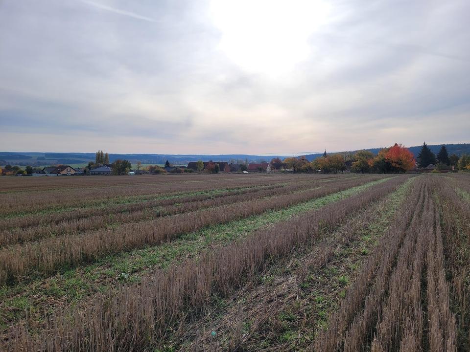 Ackerland • Photovoltaik • Verkauf • Pacht – Komplettangebot in attraktiver Lage – Bild 4