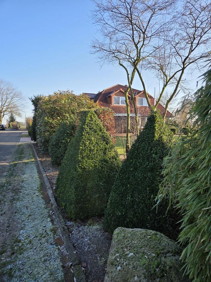 RESERVIERT - Doppelhaus oder Doppelhaushälfte Architektenhaus – Bild 2