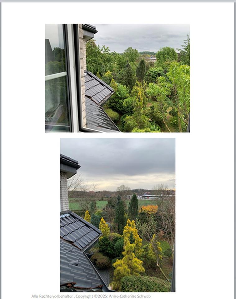 Neues Zuhause für eine große Familie – Bild 7