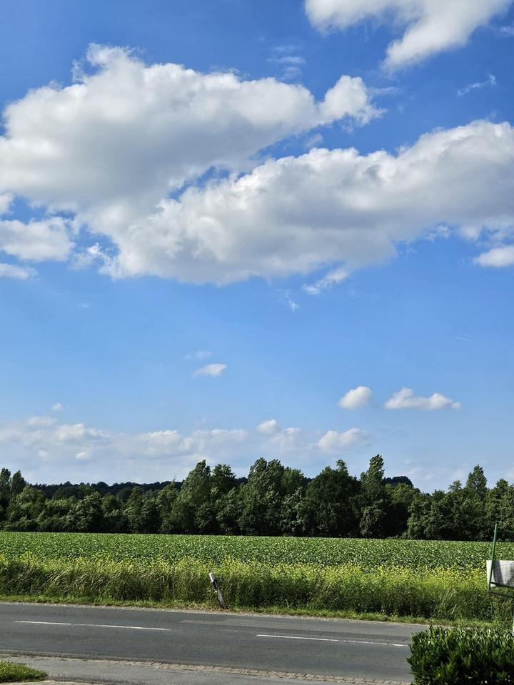 3-Zimmer-Wohnung mit Balkon in Gellershagen ab sofort frei – Bild 11