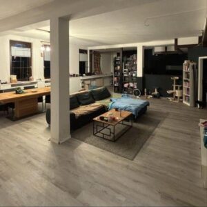 Loft - Wohnung in Königsfeld / Schwarzwald