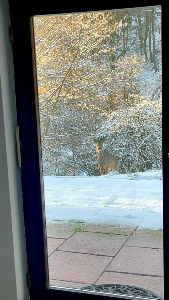 „Wochenendhaus bei Bad Soden – nur Freizeit- und Wochenendnutzung, kein Dauerwohnen“ – Bild 12